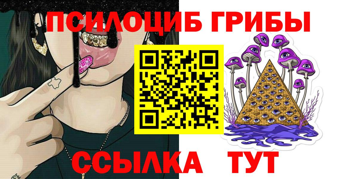 Топки  Галлюциногенные грибы Psilocybe  Вход с VPN  купить наркоту  Галлюциногенные грибы Psilocybe 
